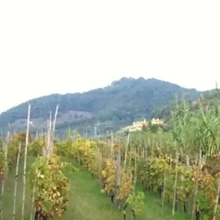 Villa Del Monte Di Cocco *