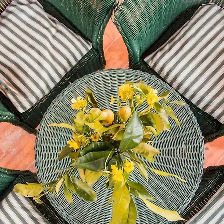 Del Monte Di Cocco Massarosa