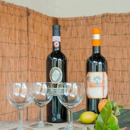 Villa Del Monte Di Cocco *