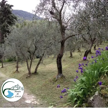 Villa Del Monte Di Cocco Massarosa