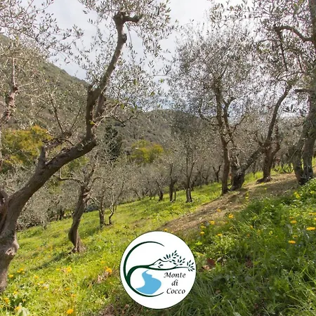 Del Monte Di Cocco * Massarosa