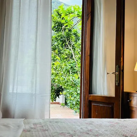 Del Monte Di Cocco Massarosa