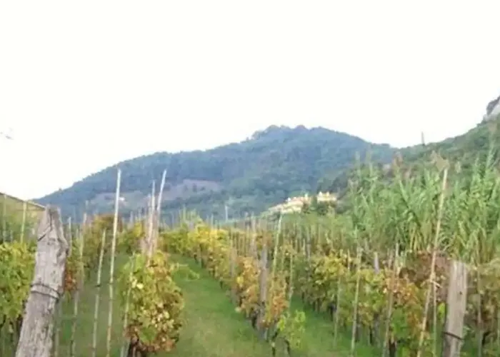 Villa Del Monte Di Cocco *