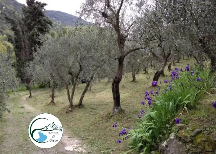 Villa Del Monte Di Cocco Massarosa