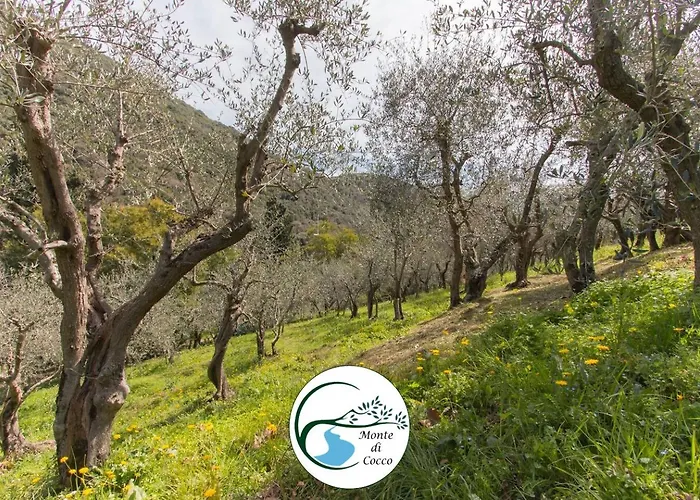 Del Monte Di Cocco * Massarosa