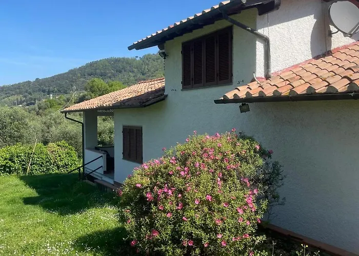 Del Monte Di Cocco *